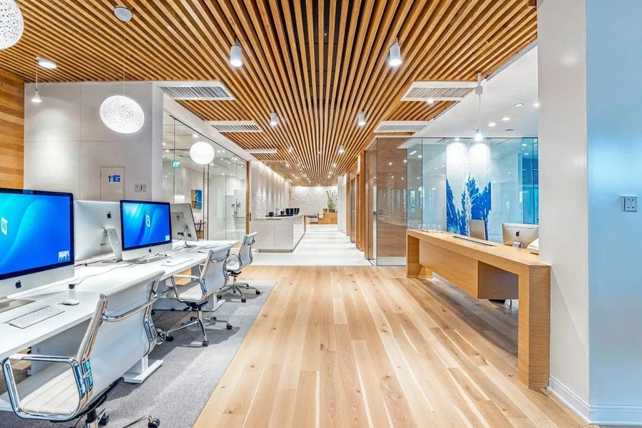 Tangany Office